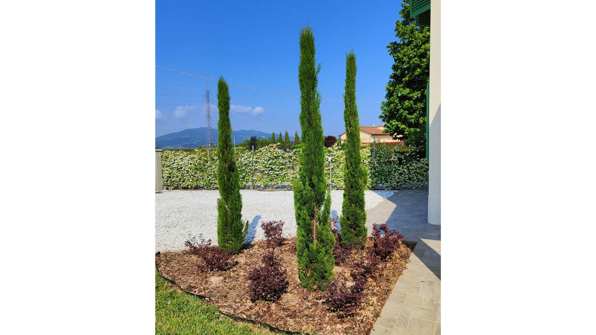 Momoplant - Cipresso A Spirale Finto, Per Esterni E Interni, 2 Pezzi, Decorazione Sempreverde Per Porta D'ingresso