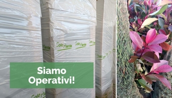 Siamo operativi. Forza Toscana!