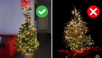 Come Mantenere Fresco l'Albero di Natale: Guida Completa