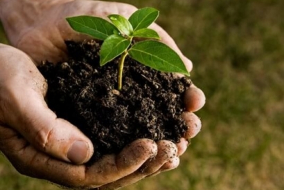 Terriccio professionale, il nutrimento che fa la differenza